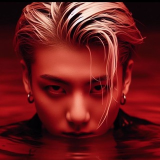 Кошачий Престол CatNox