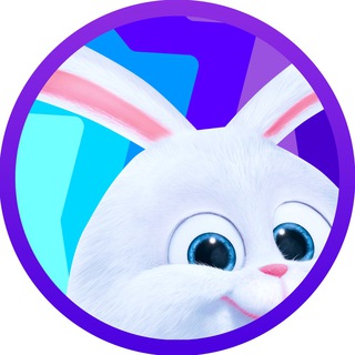 Зайка Развивайка