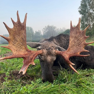 Трофейная охота РБ