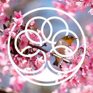 Парк-отель «Тропикана»