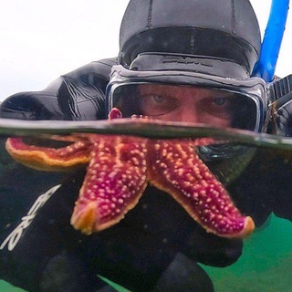 Красота Японского моря.