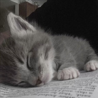 Мысли Reflection’a