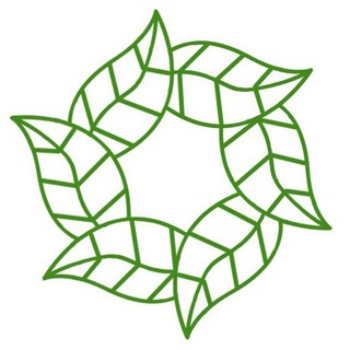 Территория Правильных Напитков (True Drinks)