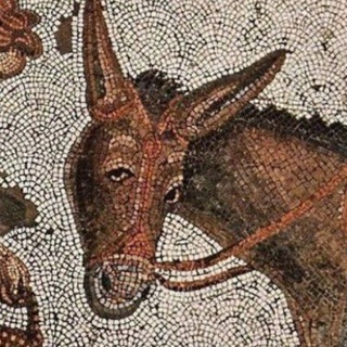 Осёл Македонского