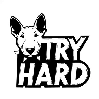 ⚡TRY HARD⚡
