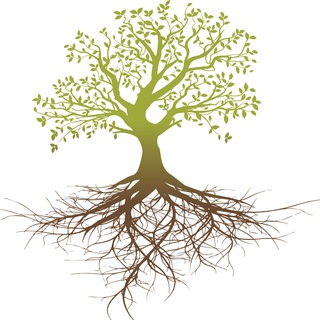 Школа ЦЕЛОСТНОСТИ