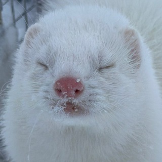 Диссоциируем с Тсуки