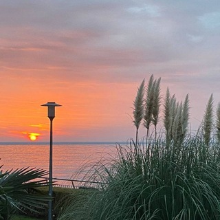 Выживаю как могу