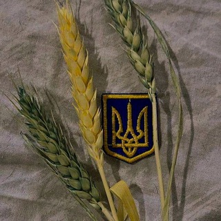 цитати українською 💌