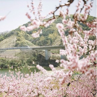 восходящая с солнцем