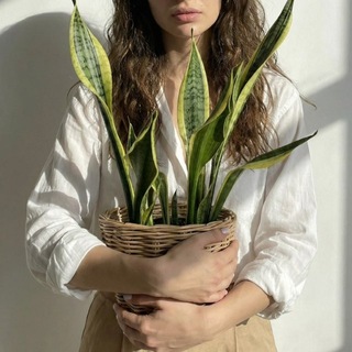 Только ты и цветы