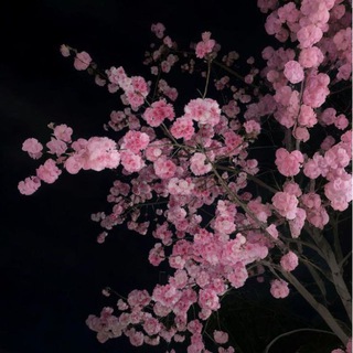 тоска | الحزن