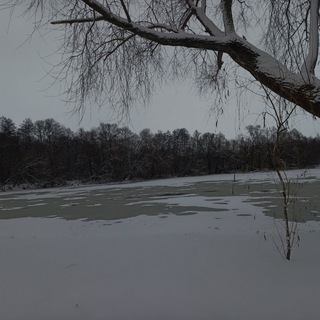 туберкулёз