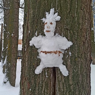 Туды-сюды без суеты