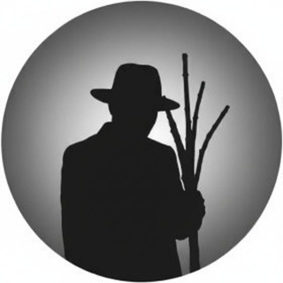 Tira × Space 🫒🌊