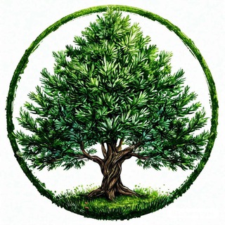 🌲Кипарисы-туи-можжевельники-Cupress.RU🌲