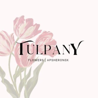 𝙏𝙪𝙡𝙥𝙖𝙣 | 𝘼𝙥𝙨𝙝𝙚𝙧𝙤𝙣𝙨𝙠🌷