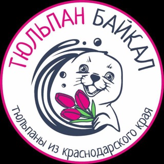 Тюльпан Байкал|ЦВЕТЫ Иркутск