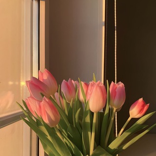 🌷 Тюльпаны на 8 марта Казань 🌷 Букеты на заказ