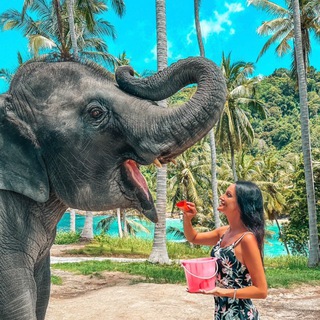 Турагент | Ирина Крутикова 🛫⛱️