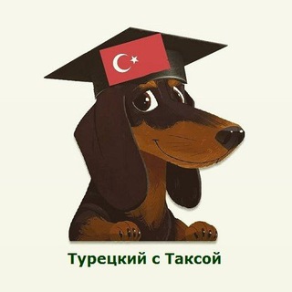 ТУРЕЦКИЙ ЯЗЫК с ТАКСОЙ 👩🏻‍🎓🇹🇷
