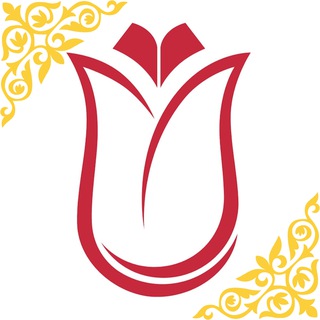 Türkiye Bursları|Гайды,советы