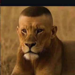 Каталог оптом головные убор🇹🇷всегда креативные решения....