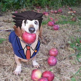 ⚖️ Э. Р. ФЭНДОМ ФО ACE ATTORNEY (ЭРФФАА)