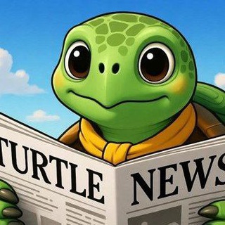 Turtle Rumors