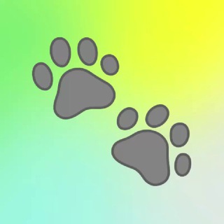 Дисциплина - как образ жизни 💪🏽