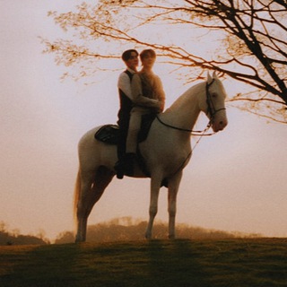 Такседо: переводы в озвучке