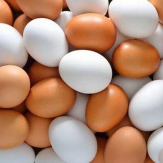 TУХУМЛАР/ЯЙЦО/EGGs