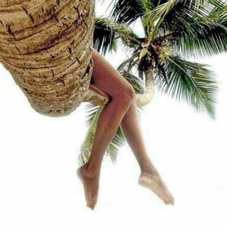 СЛЕДУЙ ЗА МЕЧТОЙ