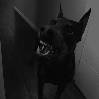 Твои сохры🖤❤️‍🔥| Музыка | Картинки