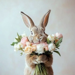 ТВОИ СТОРИС