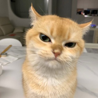 Москва Гаши Питер Мефедр