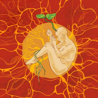 Творчество жить | Анастасия Гончарова