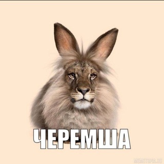 Черемшовый канал🦔