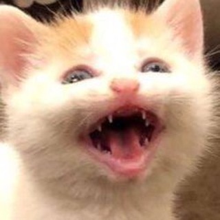 две грустные чмони +1 | two sad chmoneys +1