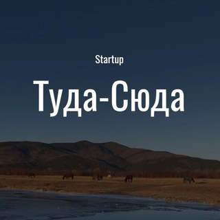 Стартап «Туда-Сюда»