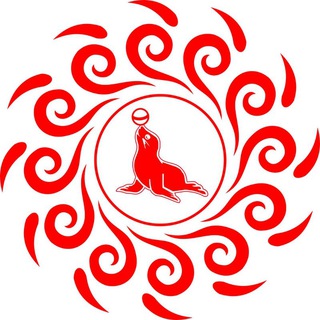 День тюленя🦭