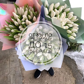 Тюльпаны•Балашиха•Москва•М.О