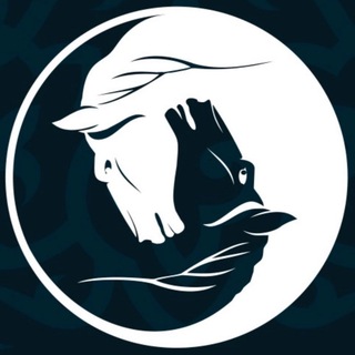 Дневник шамана