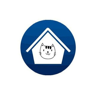 Кошачье Царство Воронеж