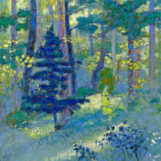 Вяткин в лесу