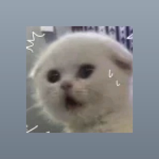 Трафик на телеграм моделей