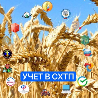 УЧЕТ В СХТП (нормативные документы)