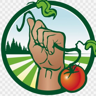 Удачная Дача