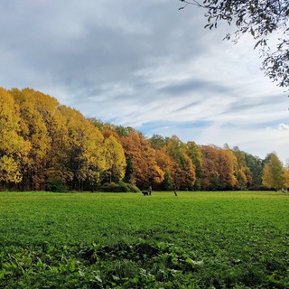 Удельный парк 🌳