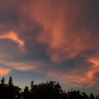 здесь сидит ромочка